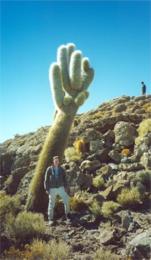 Me in front of one of the big cactuses on "Isla Pescado"