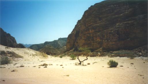 The Sinai Desert near the Colored Canyon