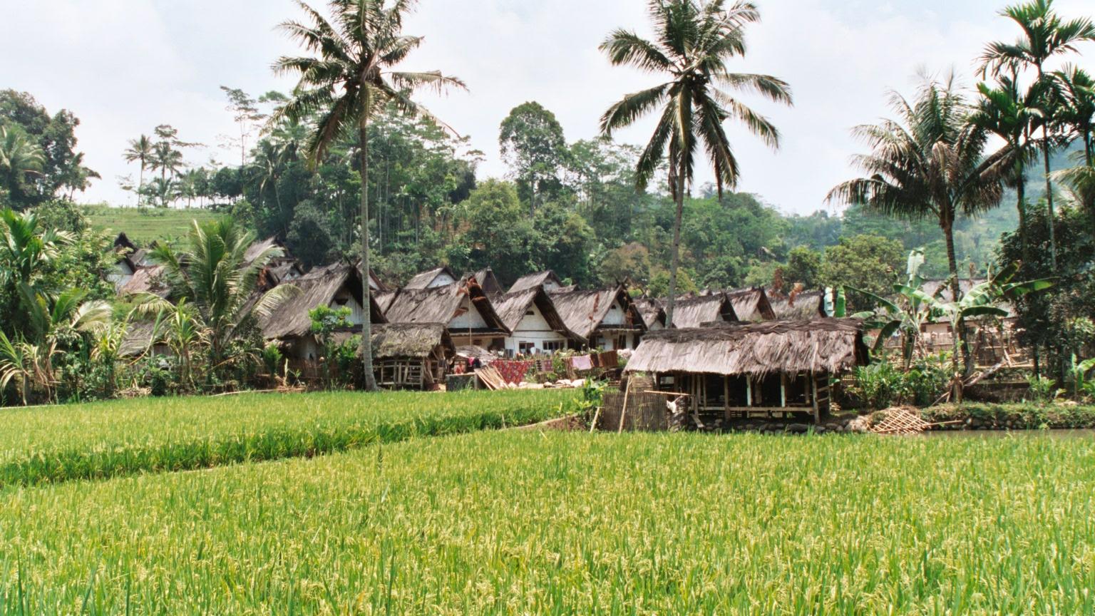 Indonesian Village